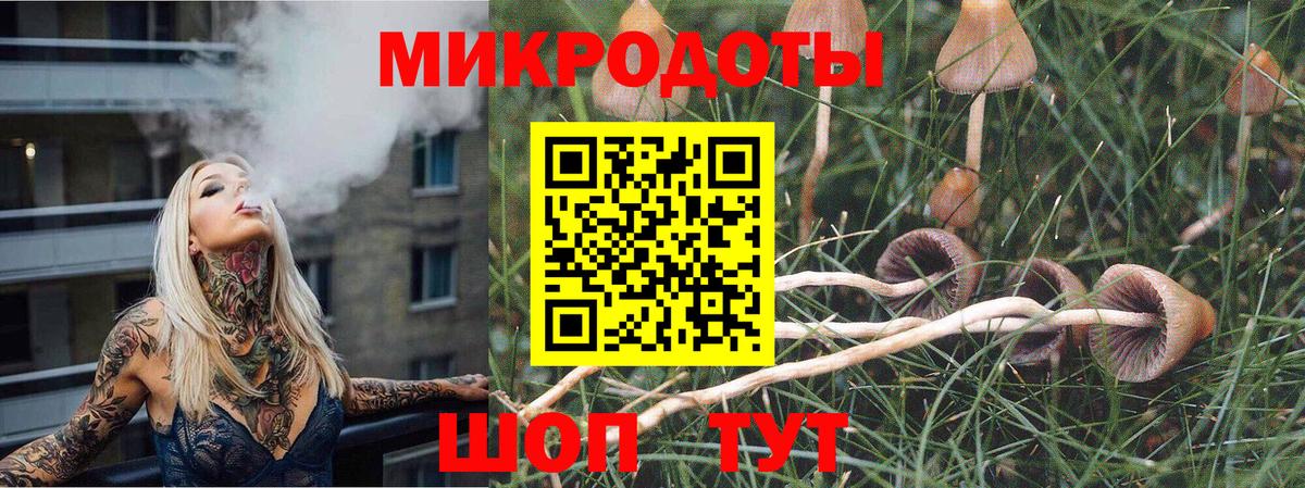 Псилоцибиновые грибы Psilocybine cubensis  Галлюциногенные грибы MAGIC MUSHROOMS  Вход с VPN  Анапа 
